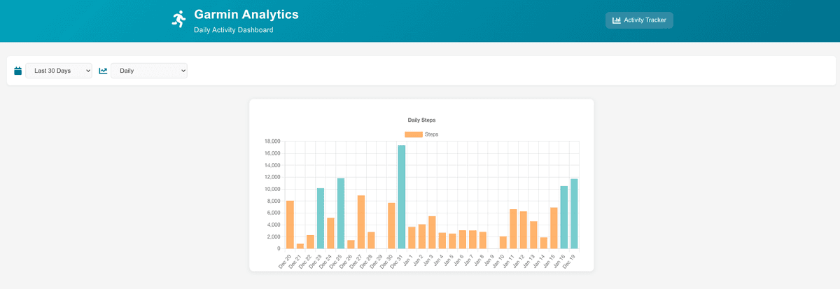 Garmin Analytics and API Dashboard